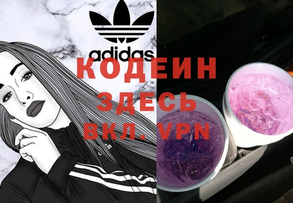 индика Пересвет