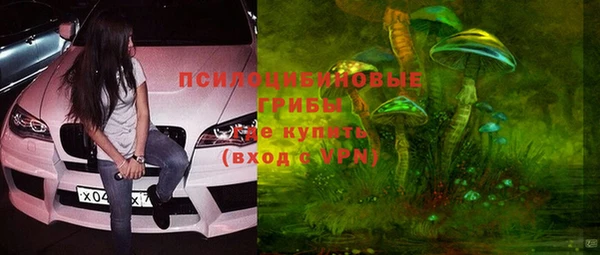 индика Пересвет