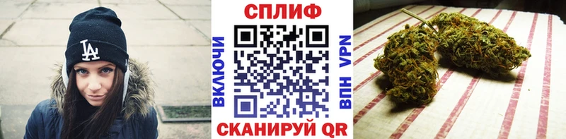 МЕГА ссылка  Короча  Бошки Шишки сатива  где найти наркотики 